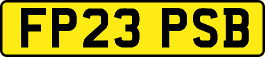 FP23PSB