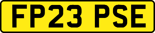 FP23PSE