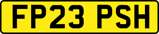 FP23PSH