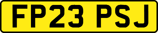 FP23PSJ