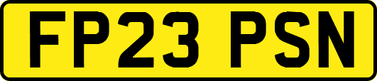 FP23PSN