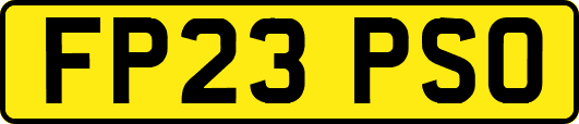 FP23PSO