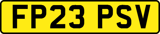FP23PSV