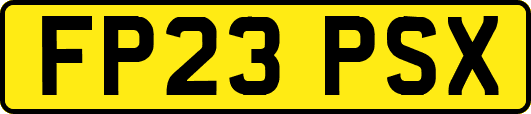 FP23PSX