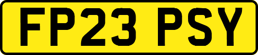 FP23PSY