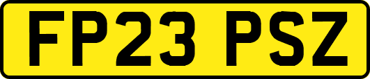 FP23PSZ
