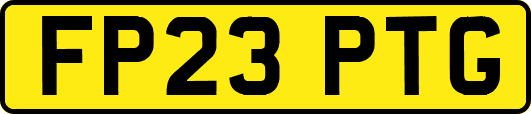 FP23PTG