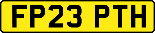 FP23PTH