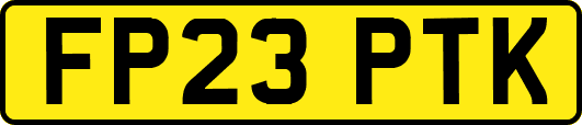FP23PTK