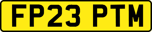 FP23PTM