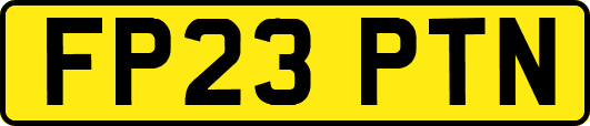 FP23PTN