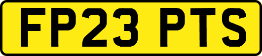 FP23PTS