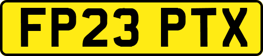FP23PTX