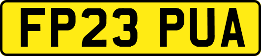 FP23PUA