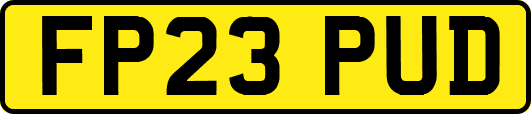FP23PUD
