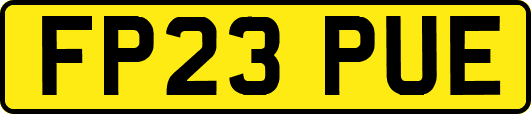 FP23PUE