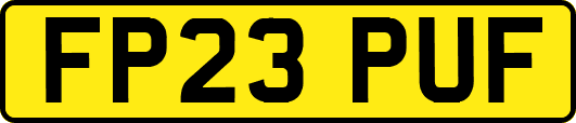 FP23PUF