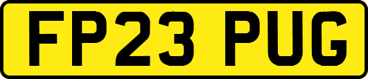 FP23PUG