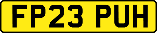 FP23PUH