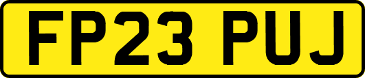 FP23PUJ