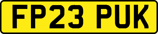 FP23PUK