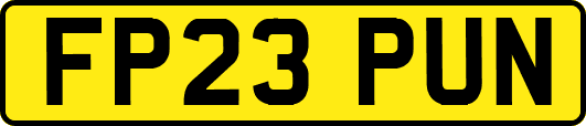FP23PUN