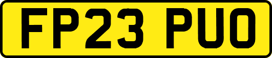 FP23PUO