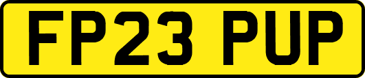 FP23PUP