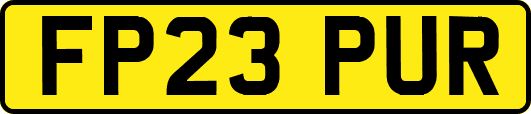 FP23PUR