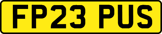 FP23PUS