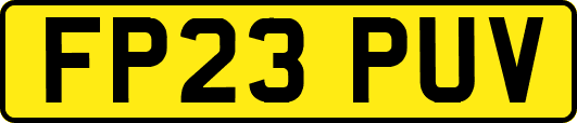 FP23PUV