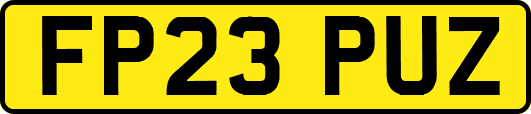 FP23PUZ