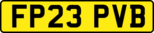 FP23PVB