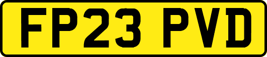 FP23PVD