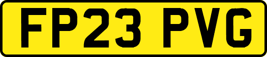 FP23PVG