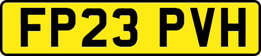 FP23PVH