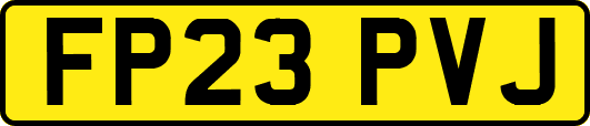 FP23PVJ