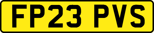 FP23PVS