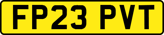 FP23PVT