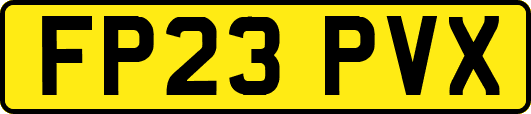 FP23PVX