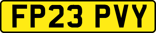 FP23PVY