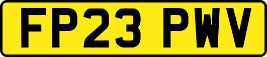 FP23PWV