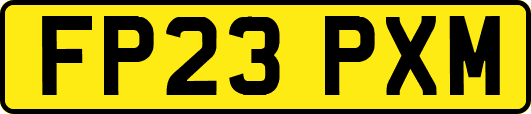 FP23PXM
