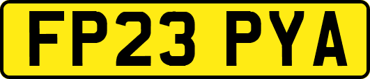 FP23PYA