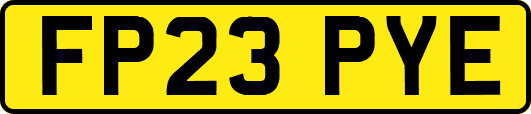 FP23PYE