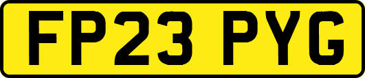 FP23PYG