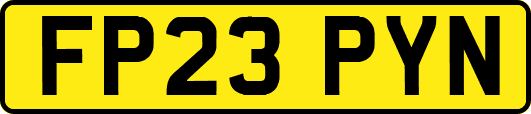 FP23PYN