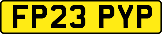 FP23PYP