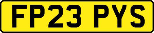 FP23PYS