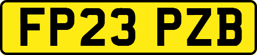 FP23PZB
